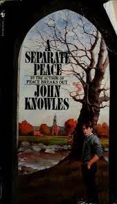 Off the shelf, Book cover of A Separate Peace by John Knowles, Bantam Books 1984 edition, vintage paperback, shows main character, Gene, on cover standing next to a tall old tree next to a river, in a New England fall, on the campus of the prep school where the story takes place